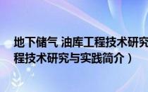 地下储气 油库工程技术研究与实践（关于地下储气 油库工程技术研究与实践简介）