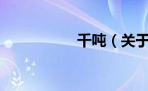千吨（关于千吨简介）
