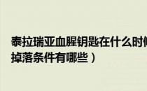 泰拉瑞亚血腥钥匙在什么时候才能得到（泰拉瑞亚血腥钥匙掉落条件有哪些）