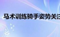 马术训练骑手姿势关注细节平地工作是关键