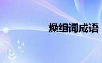 燥组词成语（燥组词语）