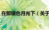 在那银色月光下（关于在那银色月光下简介）