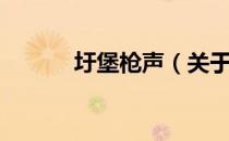 圩堡枪声（关于圩堡枪声简介）