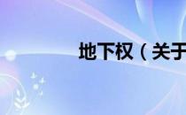 地下权（关于地下权简介）