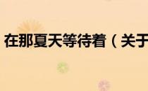 在那夏天等待着（关于在那夏天等待着简介）