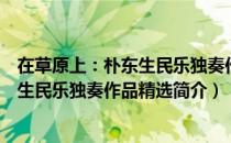 在草原上：朴东生民乐独奏作品精选（关于在草原上：朴东生民乐独奏作品精选简介）