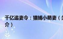 千亿追妻令：猎捕小萌妻（关于千亿追妻令：猎捕小萌妻简介）
