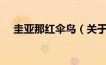 圭亚那红伞鸟（关于圭亚那红伞鸟简介）