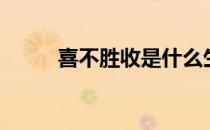喜不胜收是什么生肖（喜不胜收）