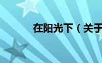 在阳光下（关于在阳光下简介）