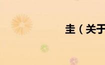 圭（关于圭简介）