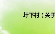 圩下村（关于圩下村简介）