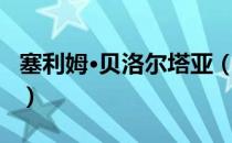 塞利姆·贝洛尔塔亚（关于塞利姆·贝洛尔塔亚）
