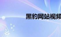 黑豹网站视频（黑豹站群）