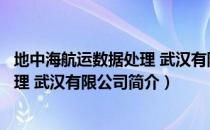 地中海航运数据处理 武汉有限公司（关于地中海航运数据处理 武汉有限公司简介）