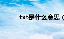 txt是什么意思（tx是什么意思）