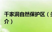 千家洞自然保护区（关于千家洞自然保护区简介）