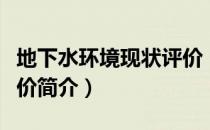 地下水环境现状评价（关于地下水环境现状评价简介）