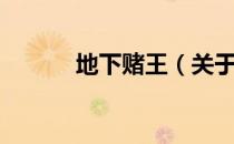 地下赌王（关于地下赌王简介）