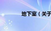 地下室（关于地下室简介）
