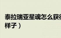 泰拉瑞亚星魂怎么获得（泰拉瑞亚星魂长什么样子）