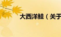 双桅船经典童书第五辑勇敢的船长（关于双桅船经典童书第五辑勇敢的船长介绍）