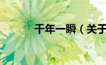 千年一瞬（关于千年一瞬简介）