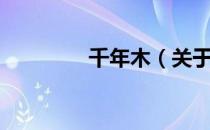 千年木（关于千年木简介）