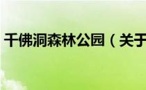 千佛洞森林公园（关于千佛洞森林公园简介）