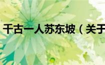 千古一人苏东坡（关于千古一人苏东坡简介）
