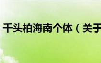千头柏海南个体（关于千头柏海南个体简介）