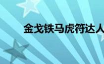 金戈铁马虎符达人（金戈铁马虎符）