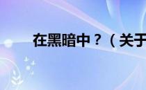 在黑暗中？（关于在黑暗中？简介）