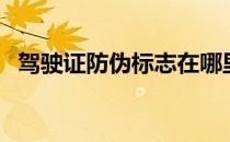 驾驶证防伪标志在哪里（驾驶证防伪标志）