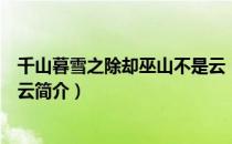 千山暮雪之除却巫山不是云（关于千山暮雪之除却巫山不是云简介）