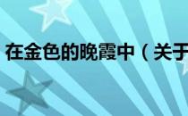 在金色的晚霞中（关于在金色的晚霞中简介）