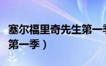 塞尔福里奇先生第一季（关于塞尔福里奇先生第一季）