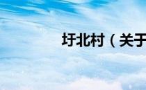 圩北村（关于圩北村简介）