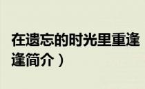 在遗忘的时光里重逢（关于在遗忘的时光里重逢简介）