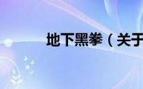 地下黑拳（关于地下黑拳简介）