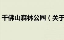 千佛山森林公园（关于千佛山森林公园简介）