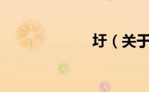 圩（关于圩简介）