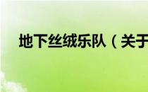 地下丝绒乐队（关于地下丝绒乐队简介）