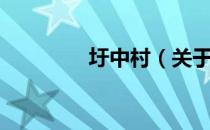 圩中村（关于圩中村简介）