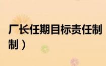 厂长任期目标责任制（关于厂长任期目标责任制）