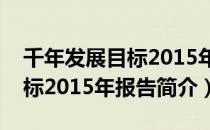 千年发展目标2015年报告（关于千年发展目标2015年报告简介）