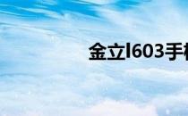 金立l603手机（金立l6）