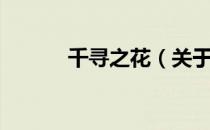 千寻之花（关于千寻之花简介）