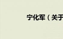 宁化军（关于宁化军介绍）