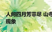 人间四月芳菲尽 山寺桃花始盛开出自的物候现象